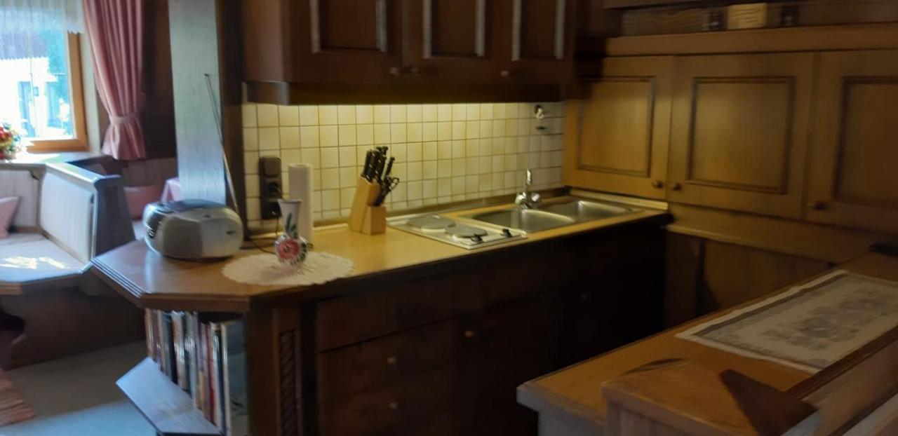 Apartament Fewo Reinhard Faistenau Zewnętrze zdjęcie